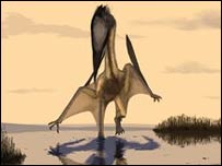 Hallan nueva especie de reptil volador